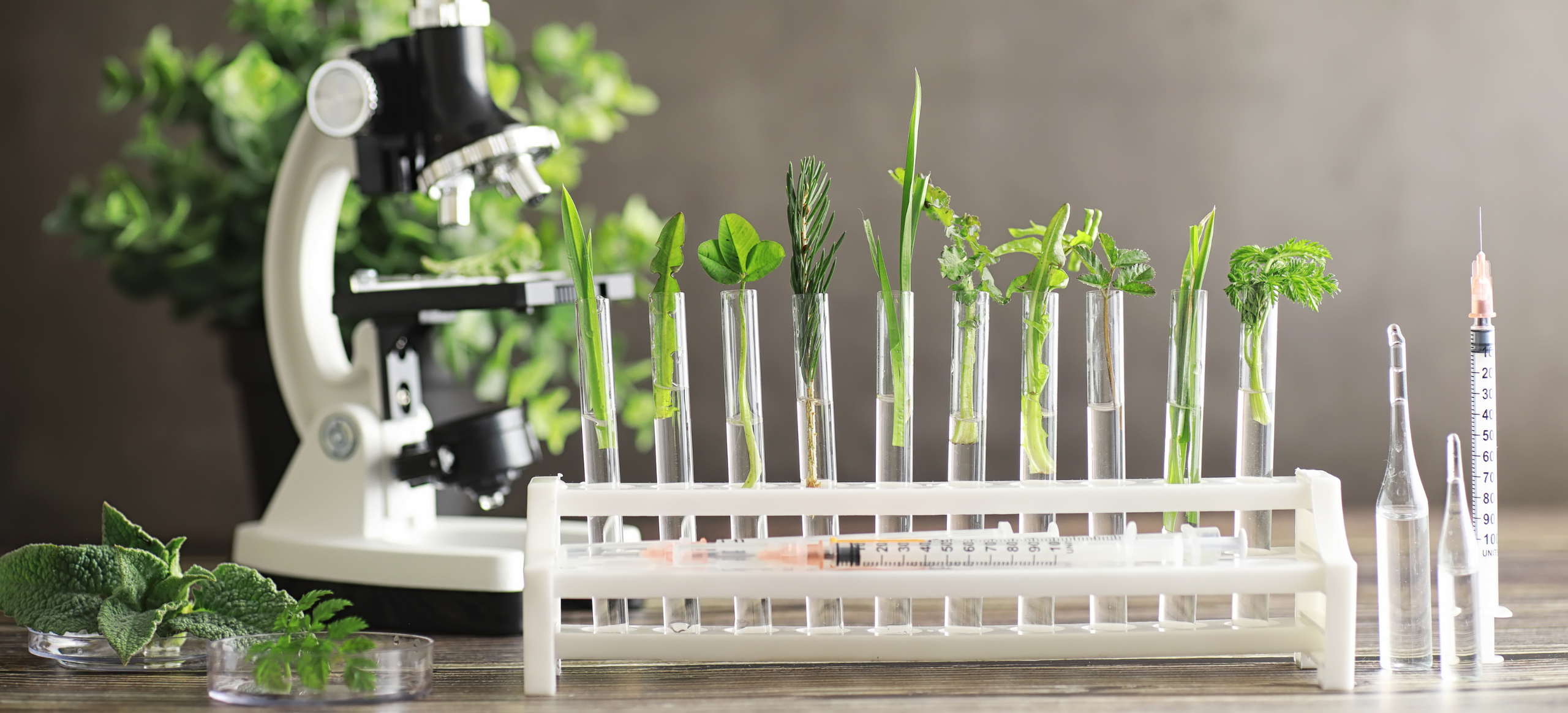 timeblock Phytonährstoffe Skincare aus den Blue Zones